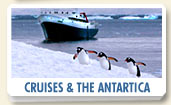 Cruises, Antartica, and Glaciers